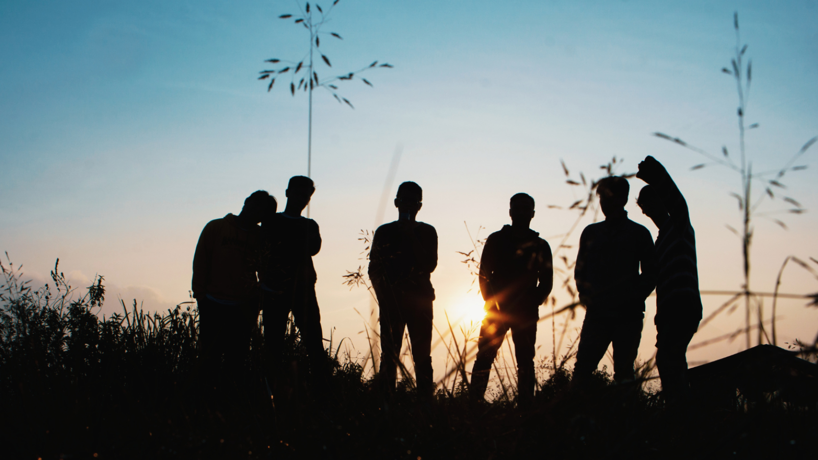 A group of young people, seen in silhouette with the sun shining behind them. In the foreground is vegetation and grasses.