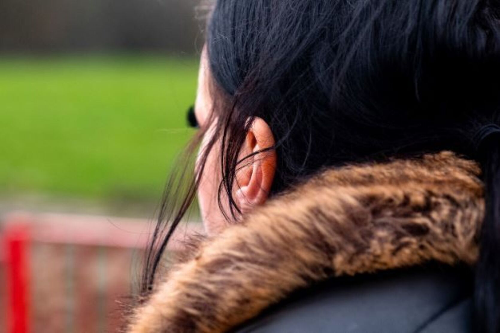 A person seen from behind, standing in a park. They are wearing a winter coat with the hood down.